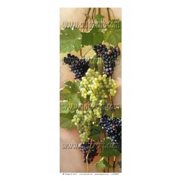 Papier de riz Grains de raisin