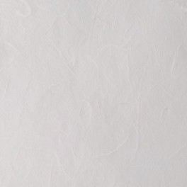 Papier de riz