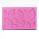 Moule Silicone