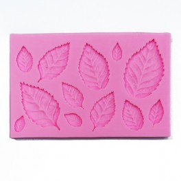 Moule Silicone