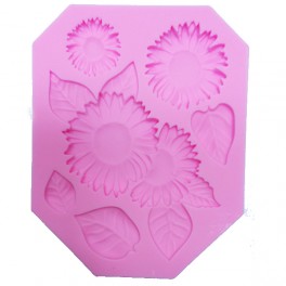 Moule Silicone