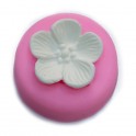 Moule Silicone