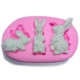 Moule Silicone