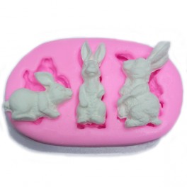 Moule Silicone