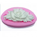 Moule Silicone
