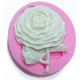 Moule Silicone