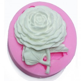 Moule Silicone