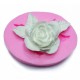 Moule Silicone