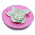 Moule Silicone