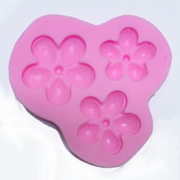 Moule Silicone