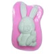 Moule Silicone