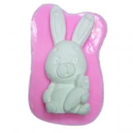 Moule Silicone