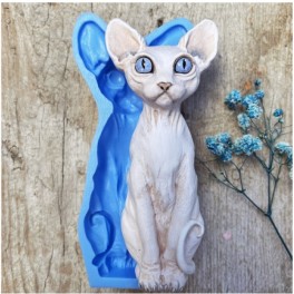 moule silicone