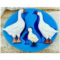moule silicone